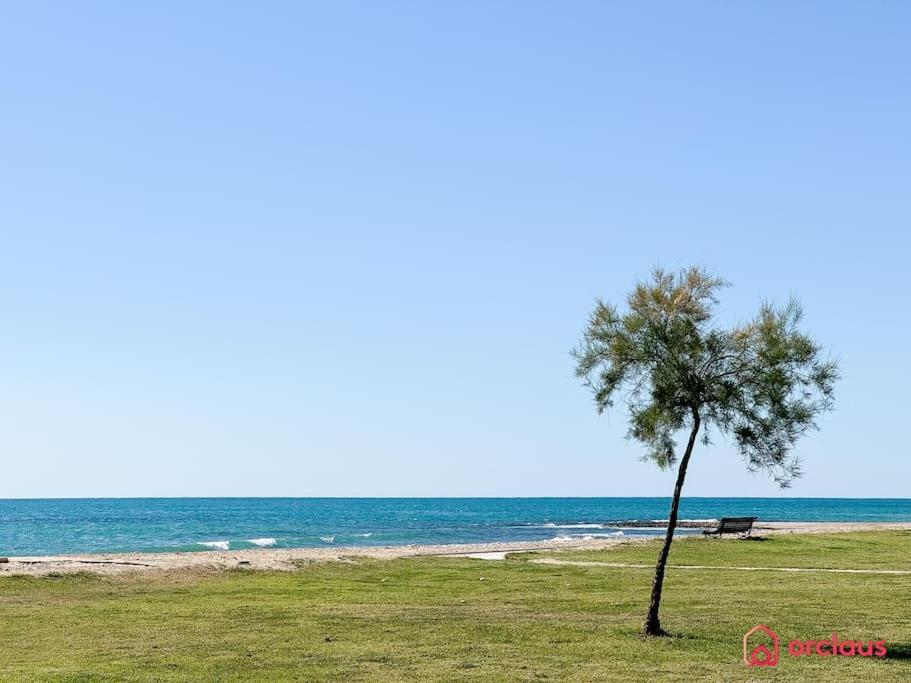 El Jardin Daire Oropesa del Mar Dış mekan fotoğraf